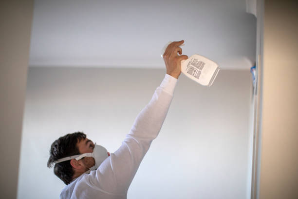 Best Mold Removal Company Near Me  in Tunkhannock, PA
