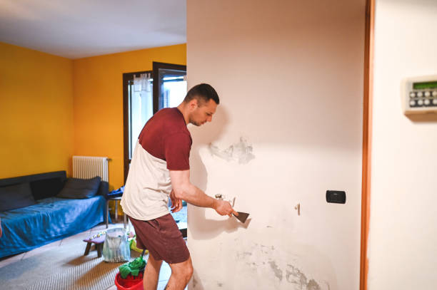 Best Mold Damage Repair  in Tunkhannock, PA